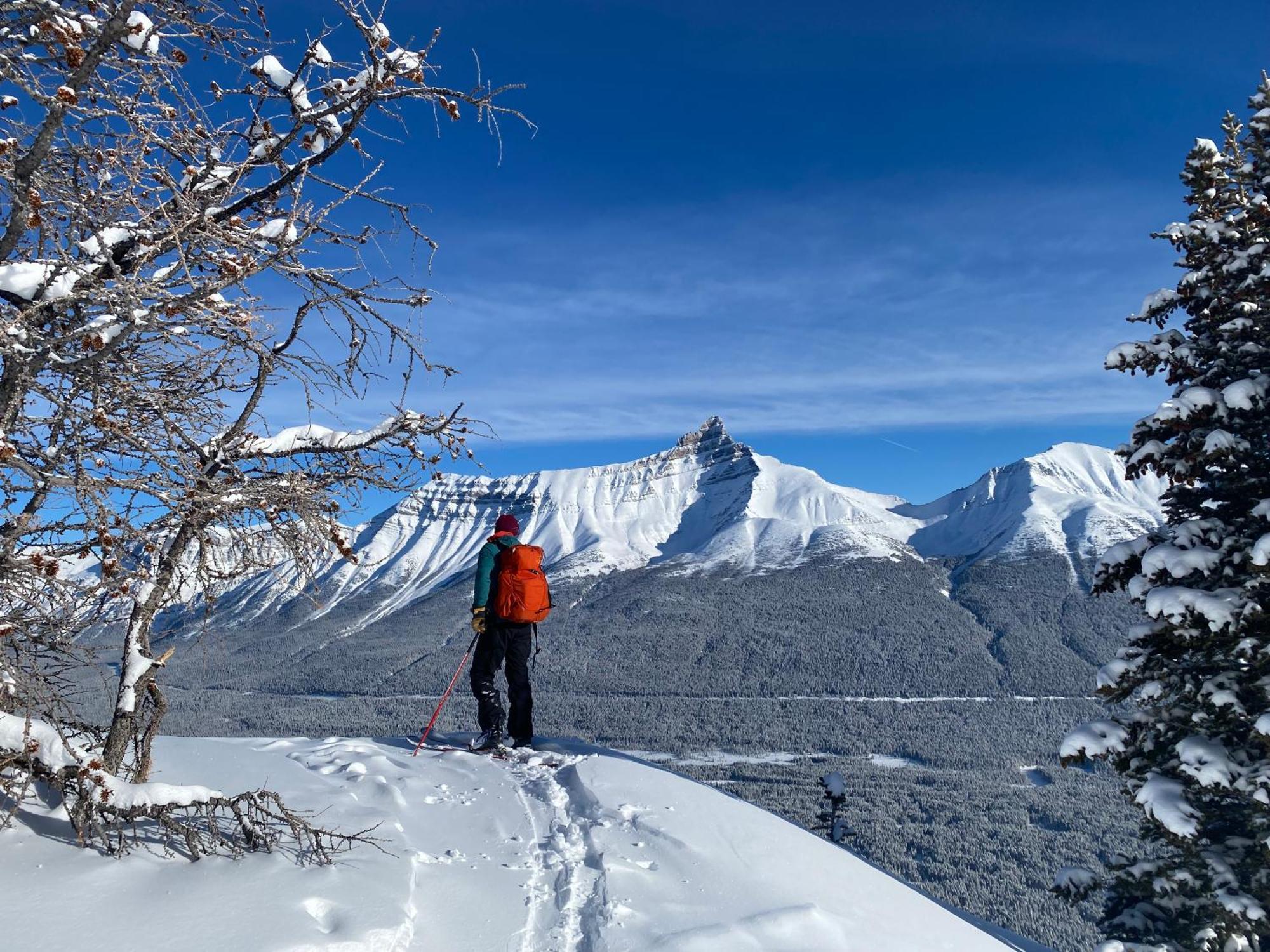 The Lodge At Bow Lake Lake Louise Exteriör bild