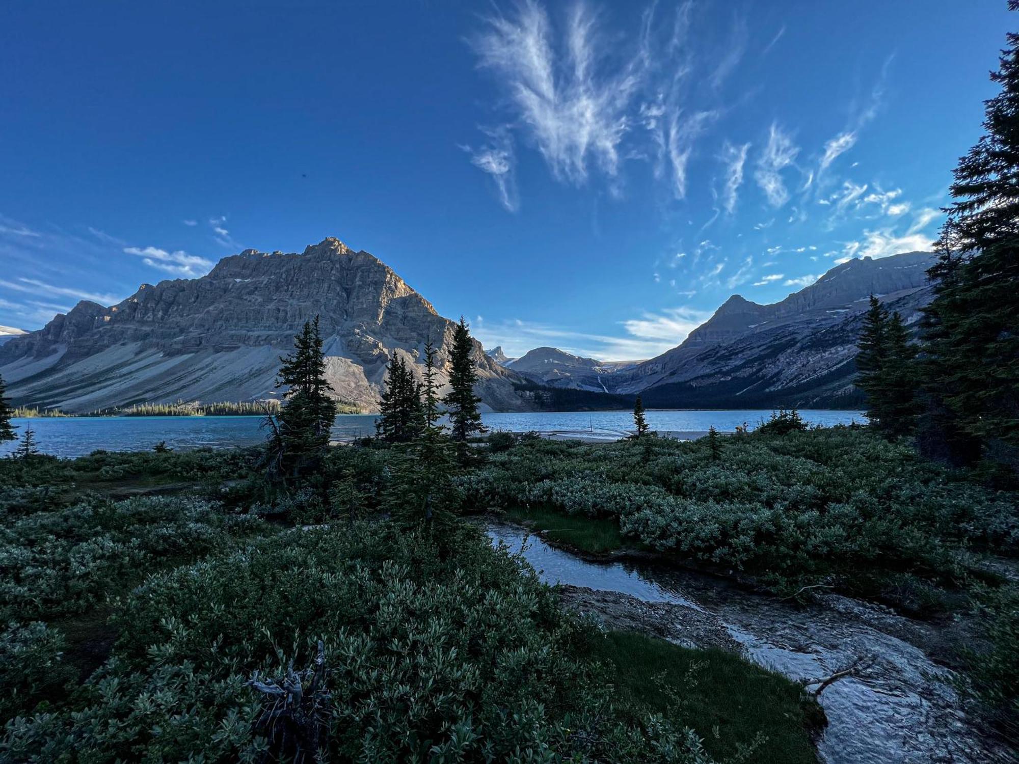 The Lodge At Bow Lake Lake Louise Exteriör bild