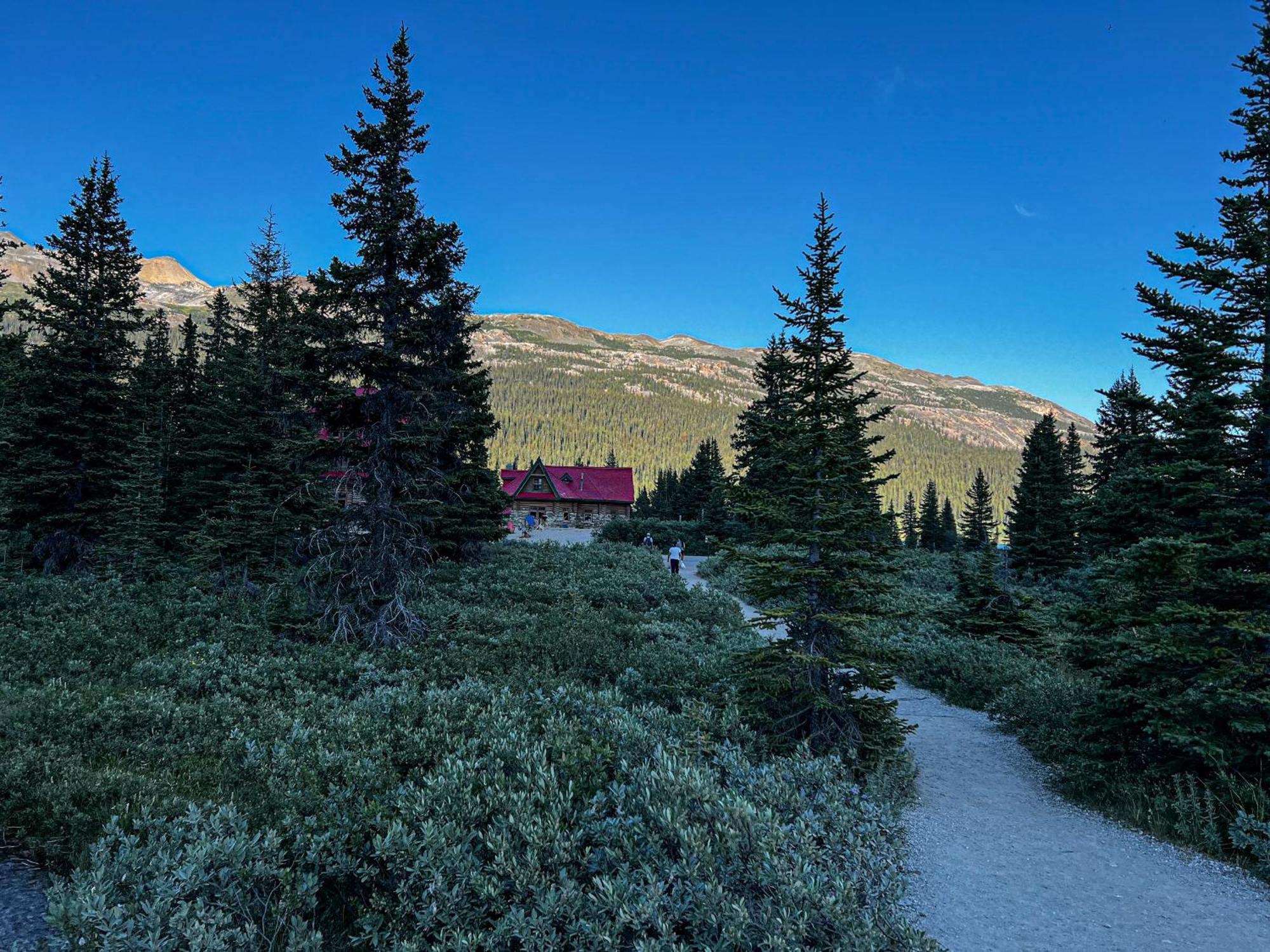 The Lodge At Bow Lake Lake Louise Exteriör bild