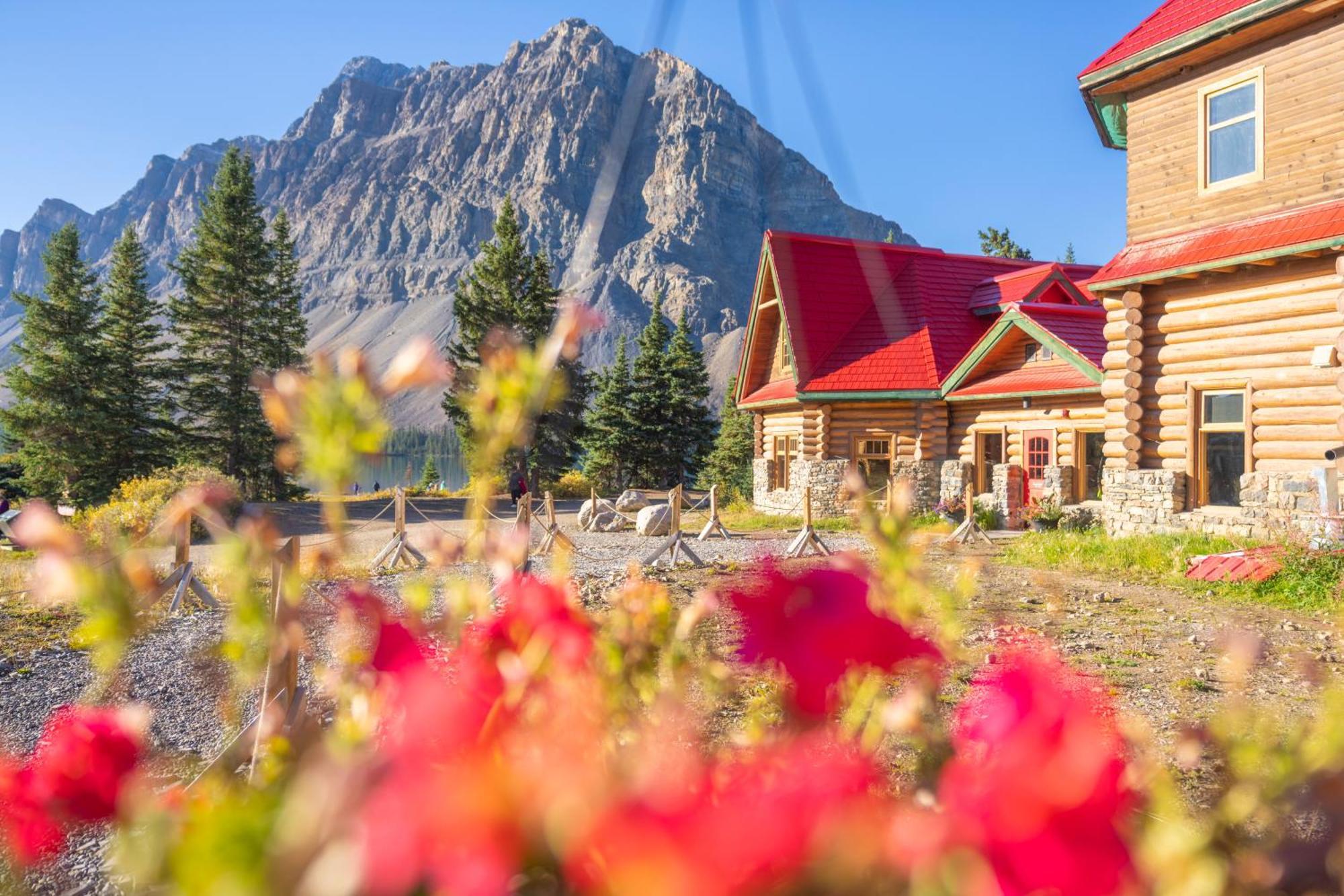 The Lodge At Bow Lake Lake Louise Exteriör bild