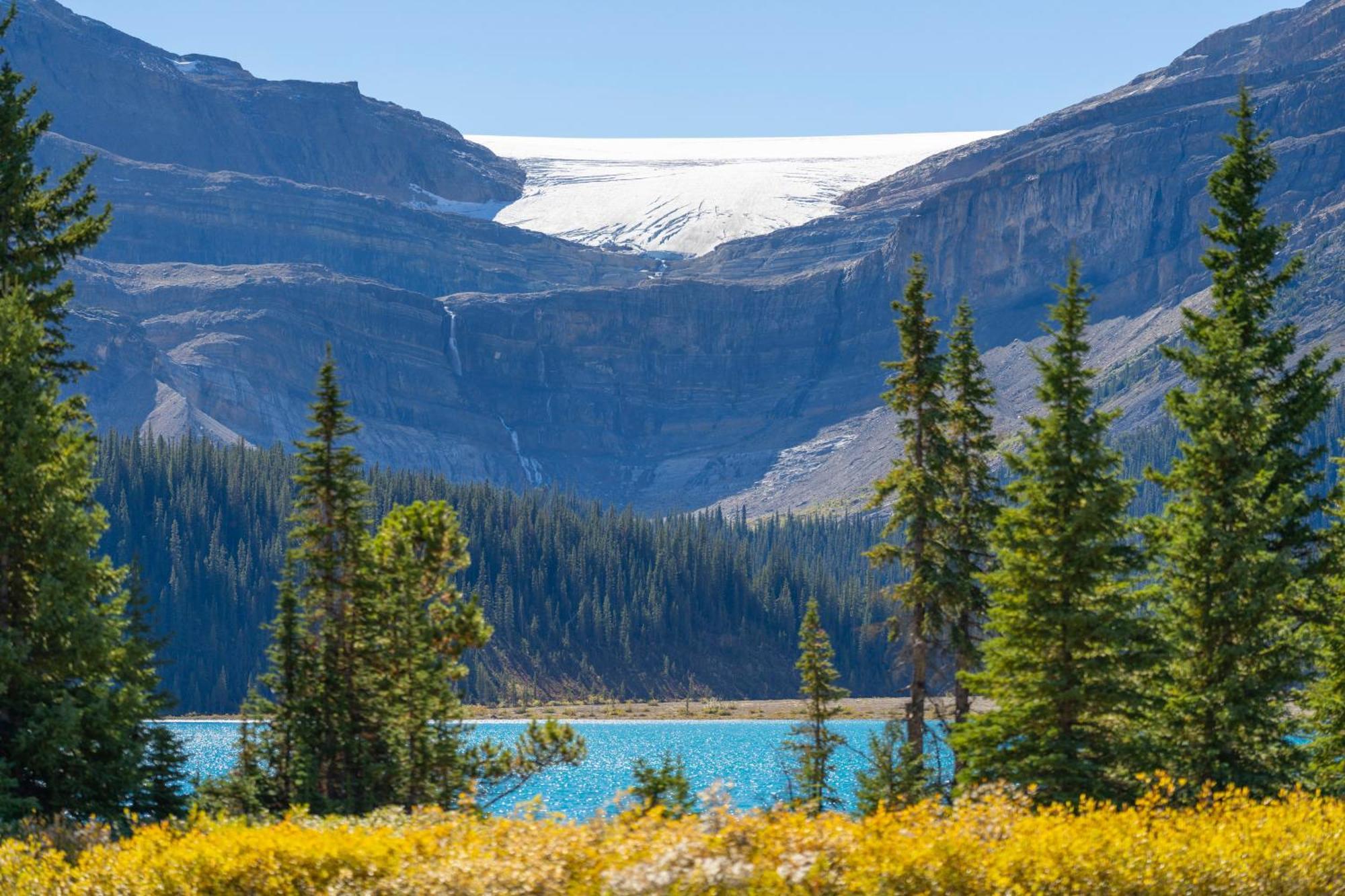 The Lodge At Bow Lake Lake Louise Exteriör bild